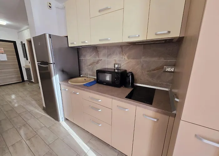 Daire Azizi Pool & Piscina Incalzita Navodari